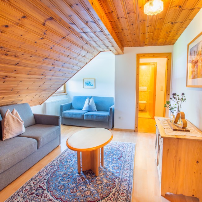 Wohnzimmer mit Zugang zum Badezimmer