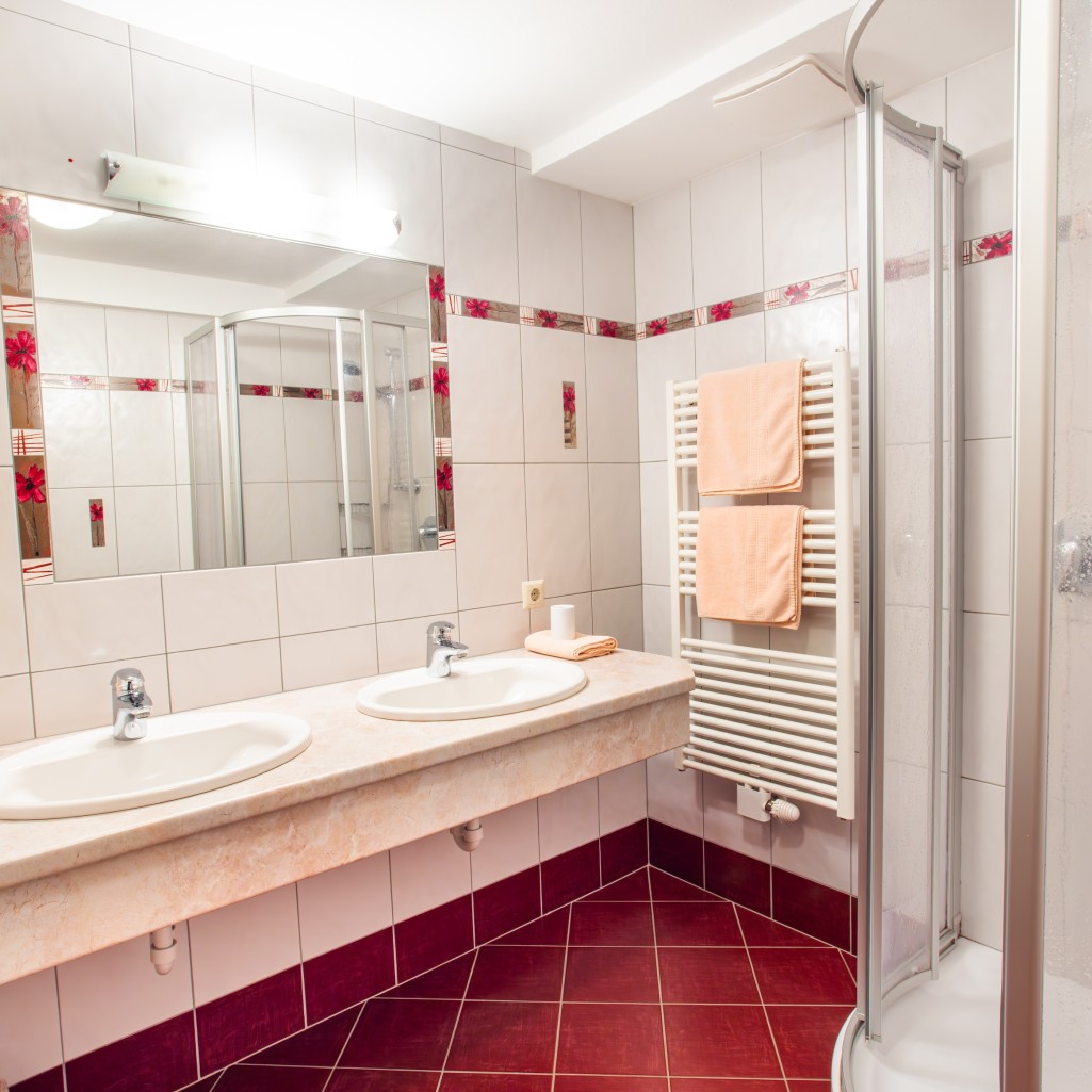 Badezimmer mit Dusche und Waschbereich