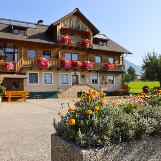 Blumenpracht am Reiterhof