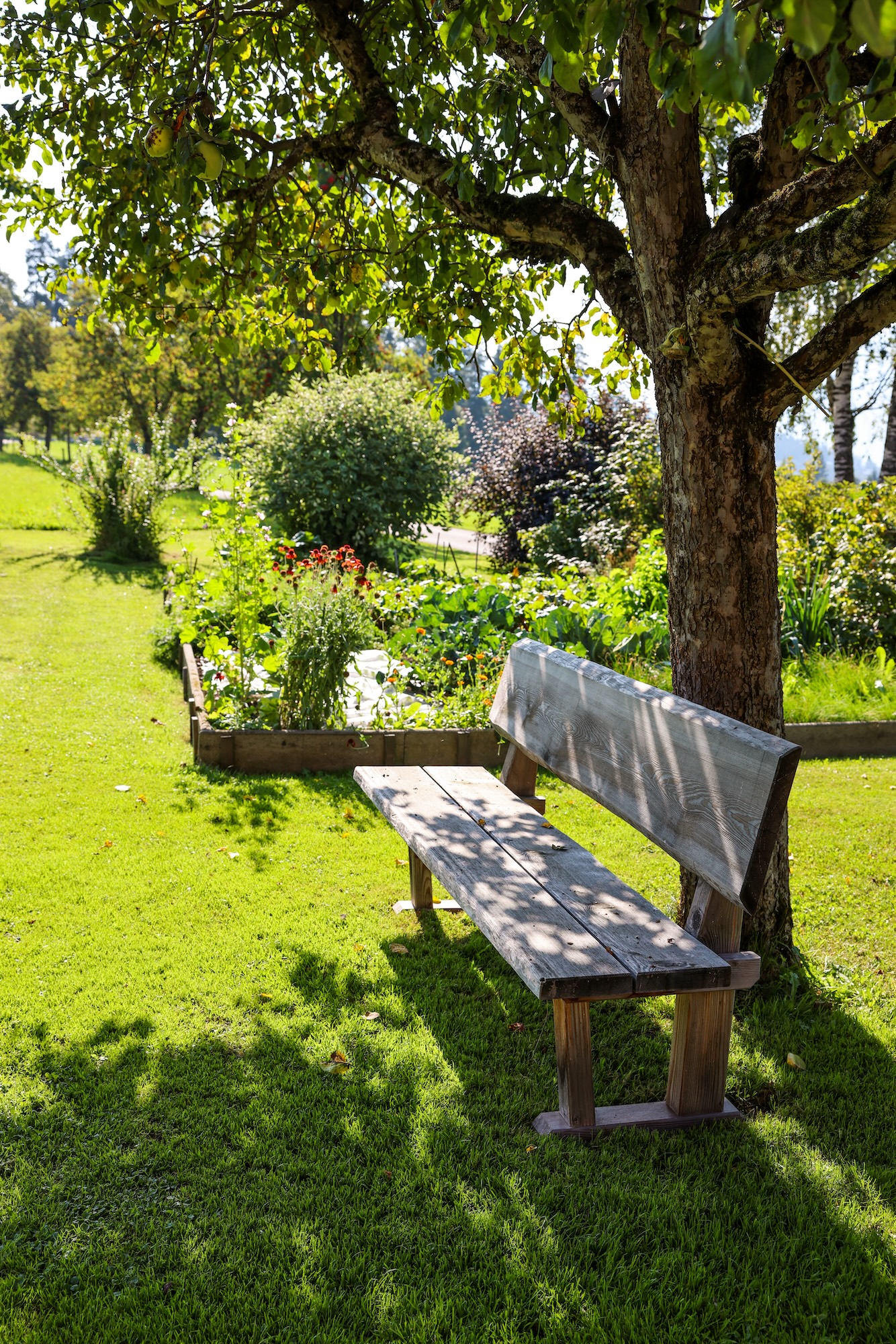 Entspannen im großen Garten des Reiterhof in Ramsau