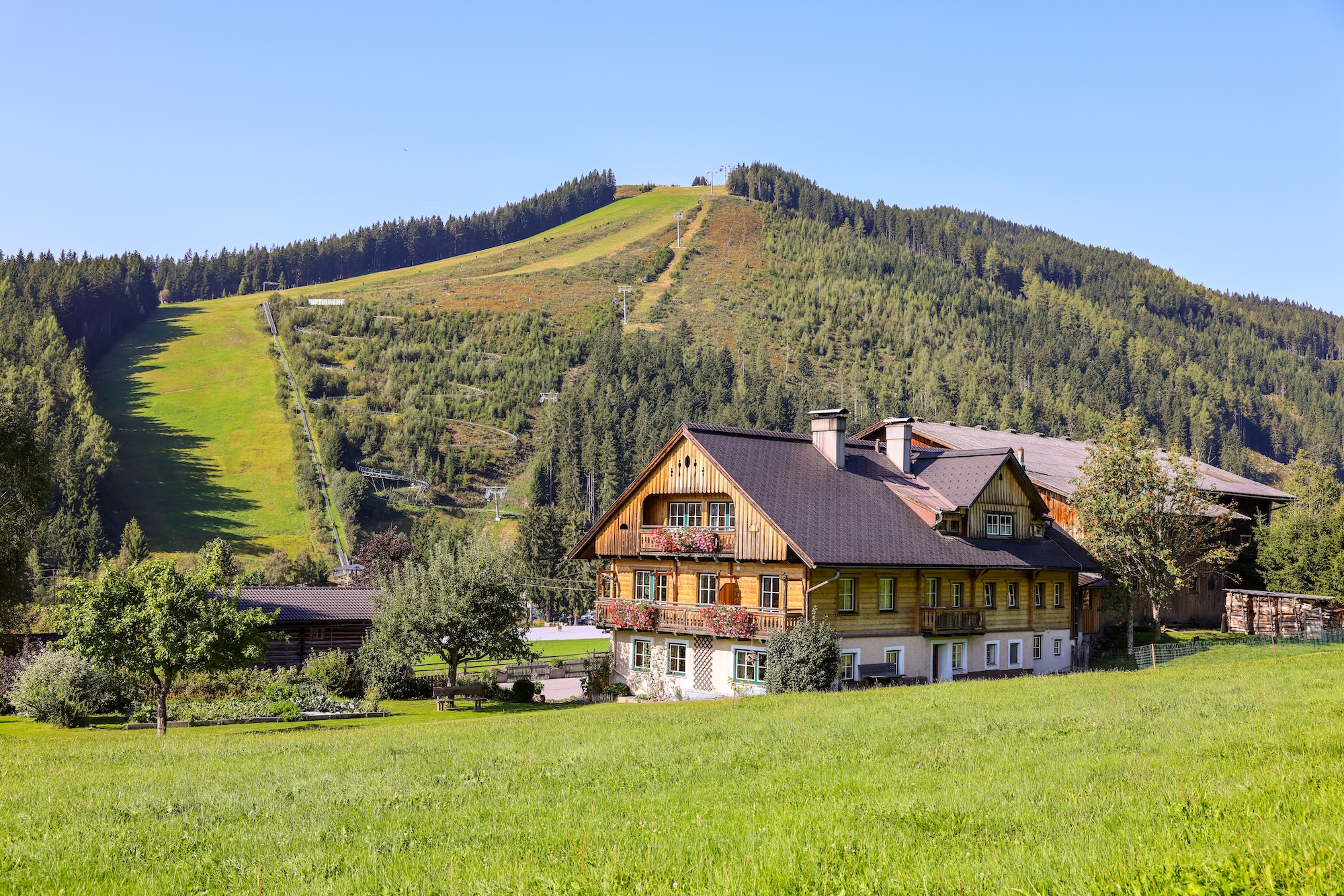 Sommerurlaub am Reiterhof in Ramsau am Dachstein