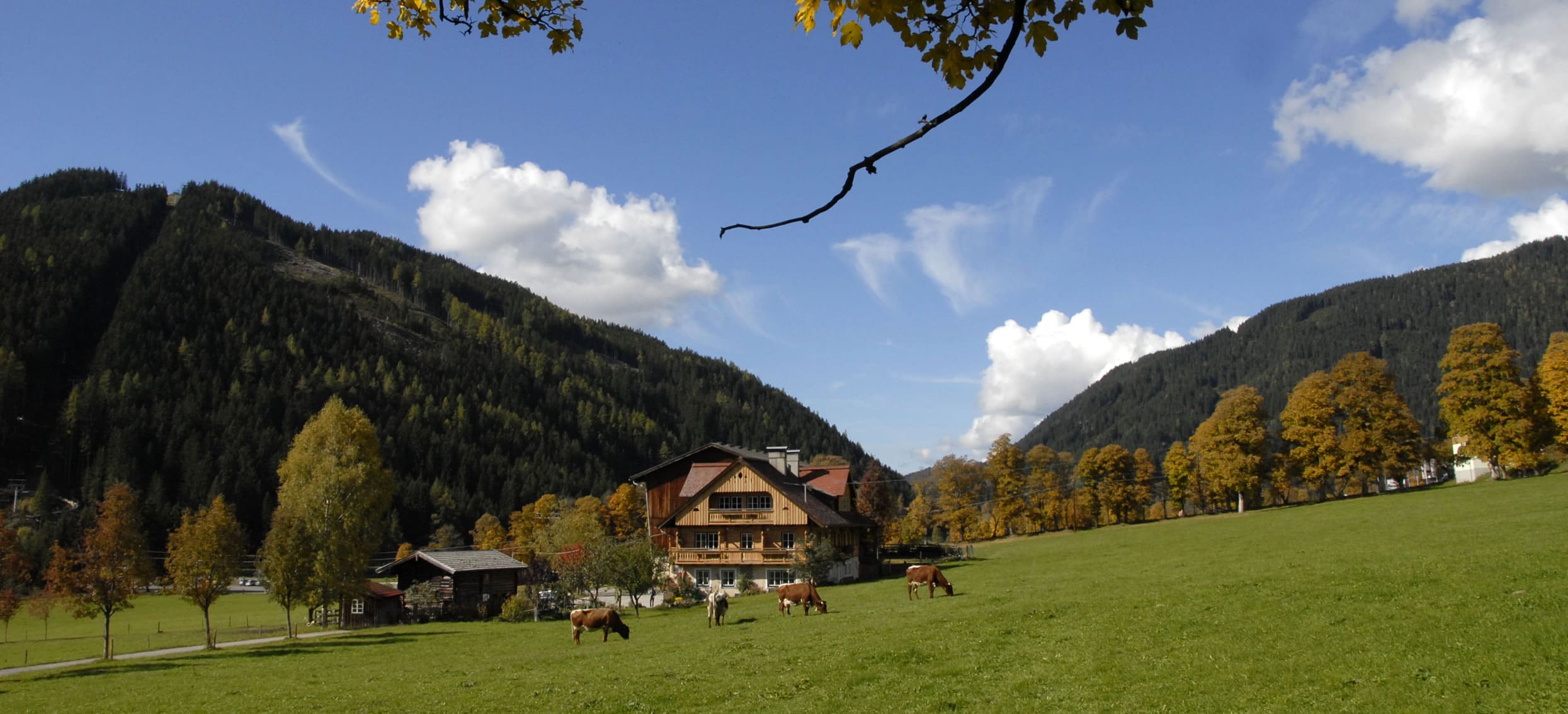 Sommerurlaub in den Appartements Reiterhof in Ramsau am Dachstein