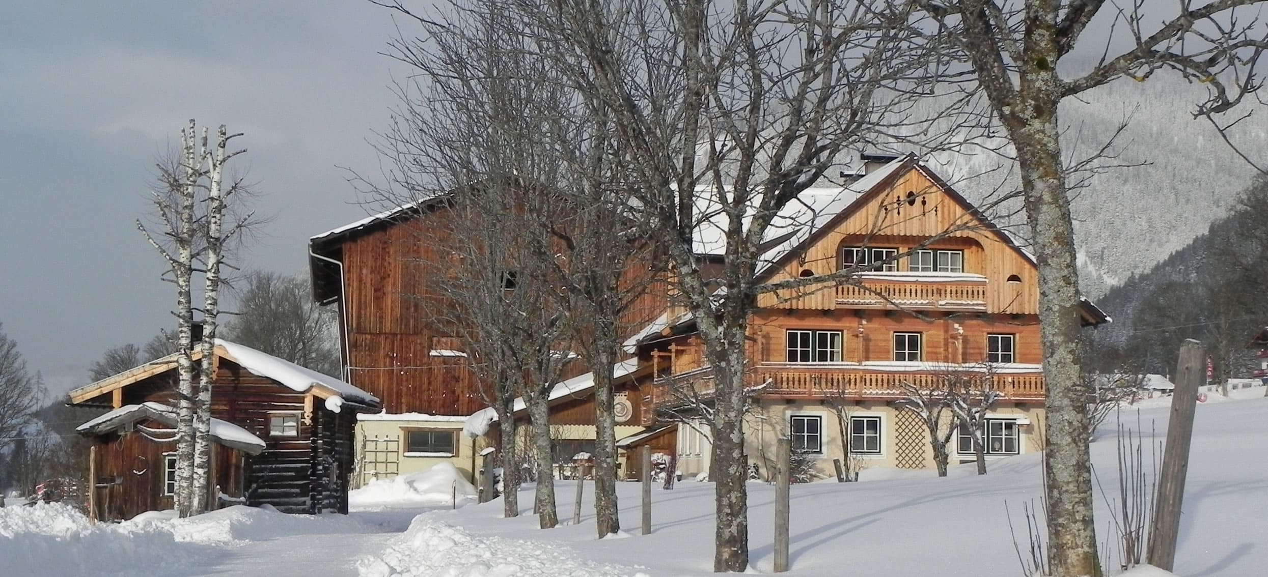 Winterurlaub am Reiterhof in Ramsau am Dachstein