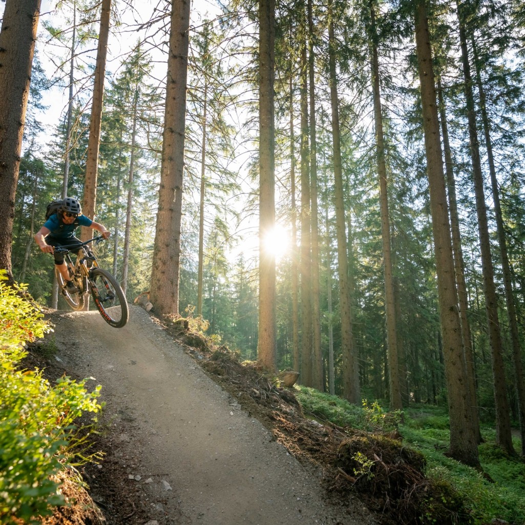 Trails auf der Reiteralm © Schladming-Dachstein | Christoph Oberschneider