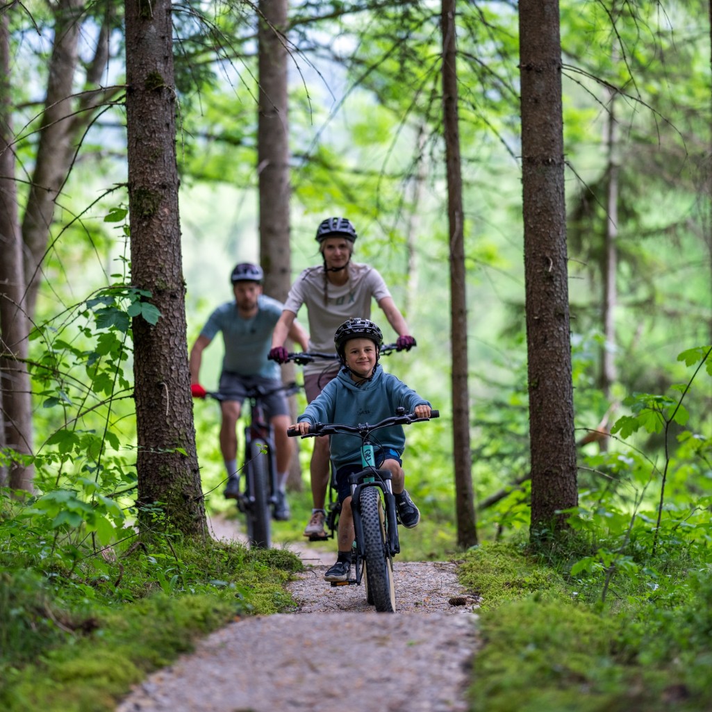 Singletrack in Haus im Ennstal/Aich © Schladming-Dachstein | Christoph Oberschneider