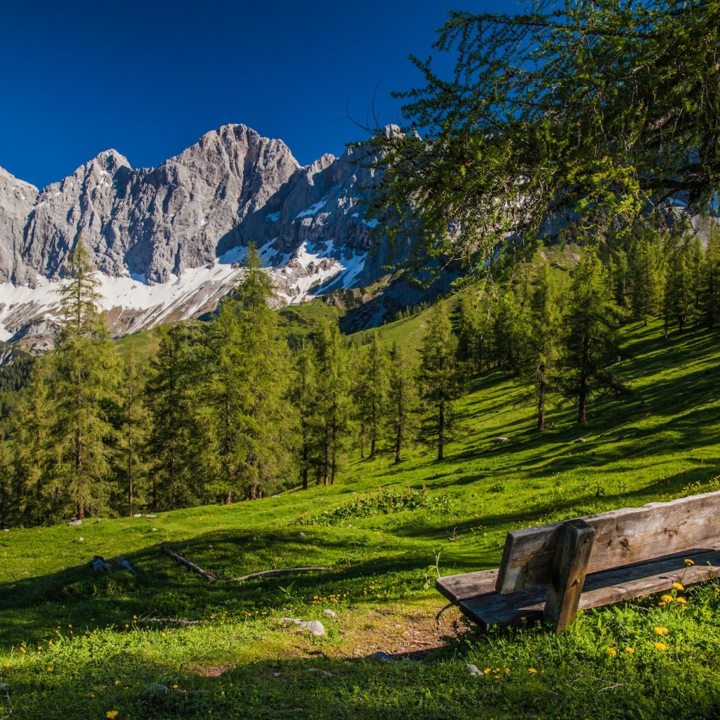 Brandriedel © René Eduard Perhab