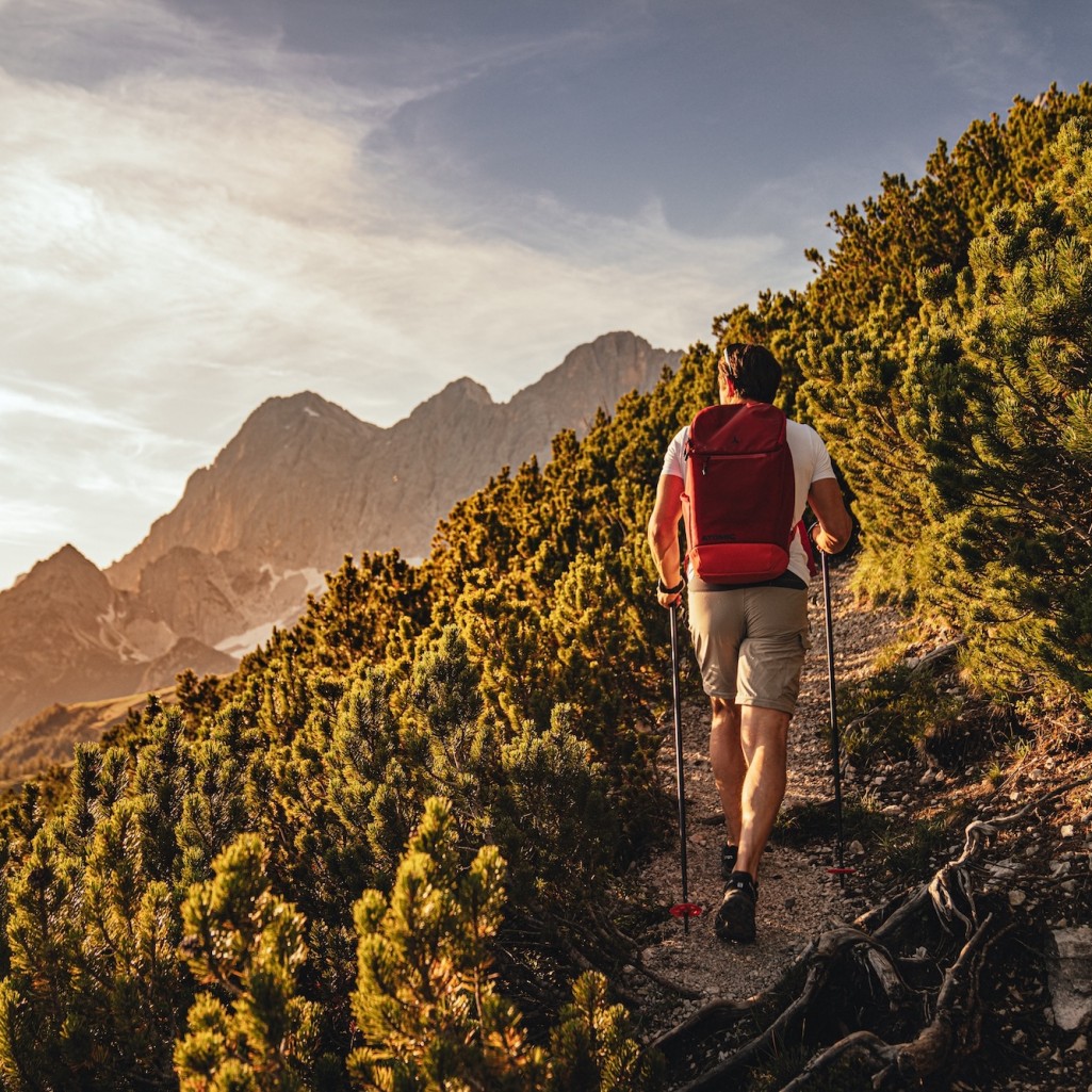 Herbstwanderung in der Ramsau © Schladming-Dachstein | Christine Höflehner