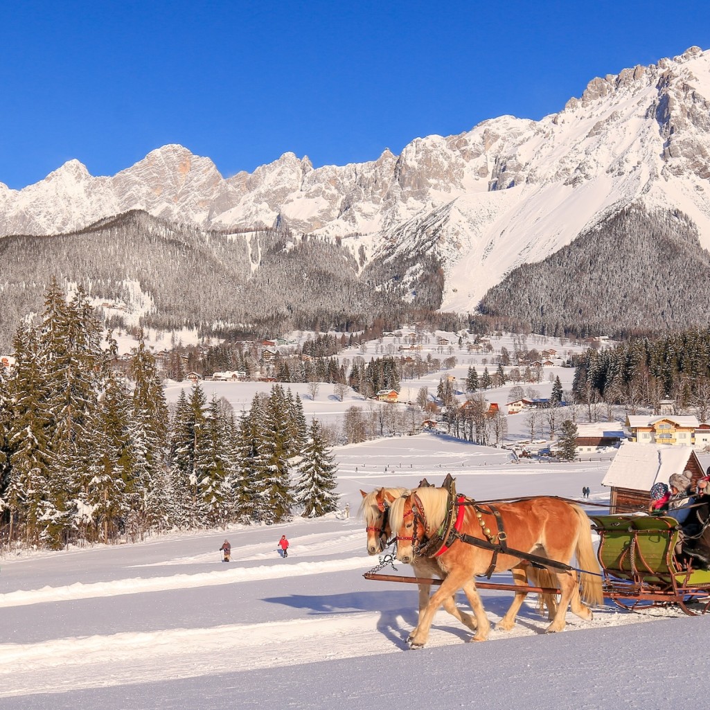 Pferdeschlittenfahrt am Fuße des Dachsteins © Schladming-Dachstein | Michael Simonlehner